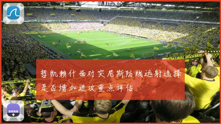 哲凯赖什面对突尼斯防线远射选择是否增加进攻重点评估