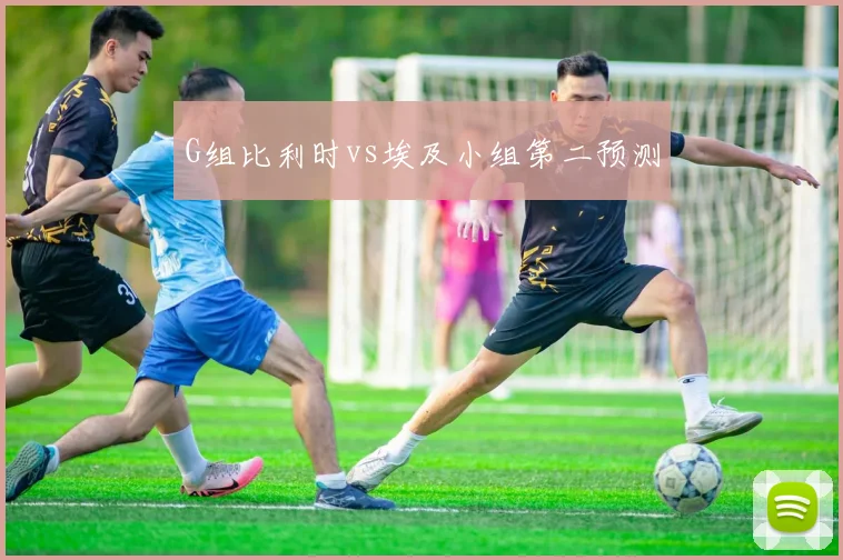 G组比利时vs埃及小组第二预测