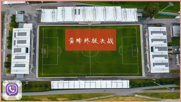 黄蜂终极决战