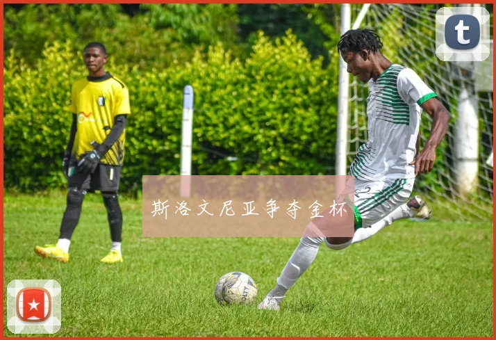 斯洛文尼亚争夺金杯