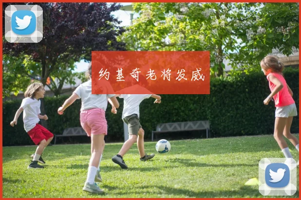 约基奇老将发威