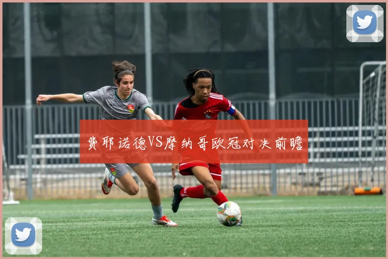 费耶诺德VS摩纳哥欧冠对决前瞻