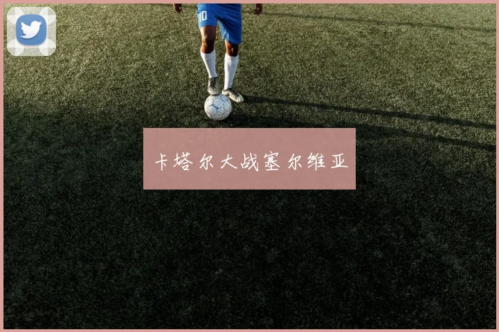 卡塔尔大战塞尔维亚