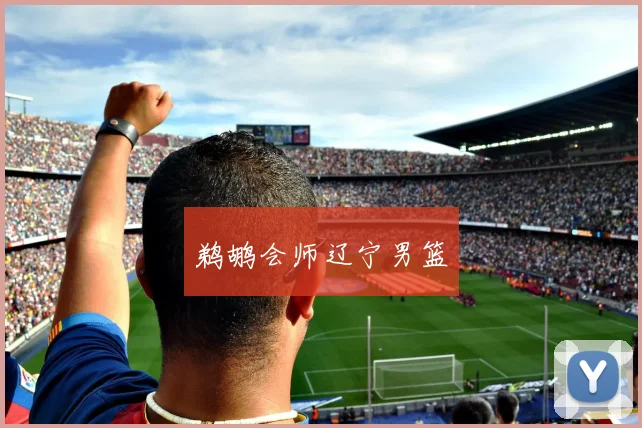 鹈鹕会师辽宁男篮