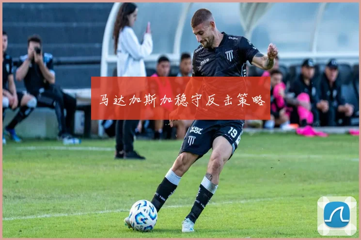 马达加斯加稳守反击策略