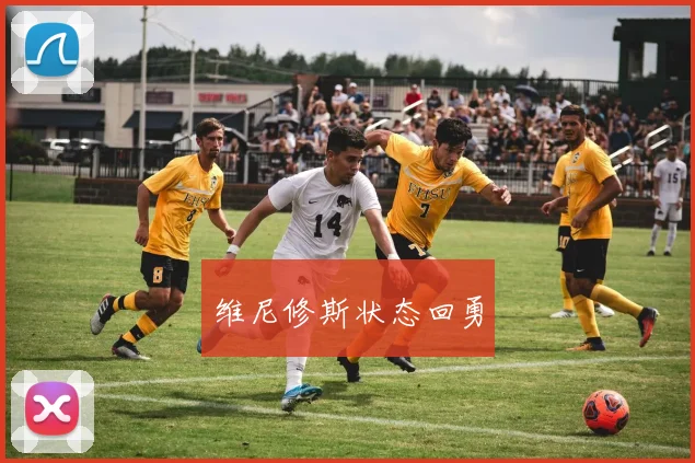 维尼修斯状态回勇