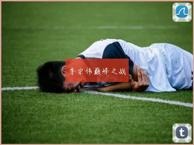 李宗伟巅峰之战