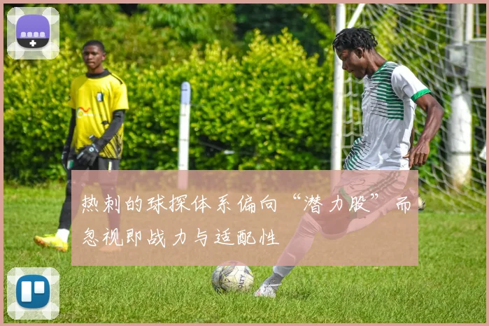 热刺的球探体系偏向“潜力股”而忽视即战力与适配性