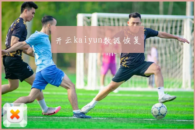 开云kaiyun数据恢复