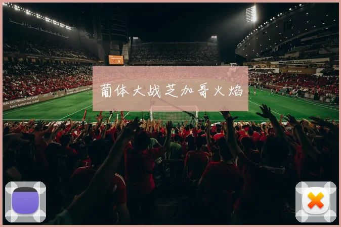 葡体大战芝加哥火焰