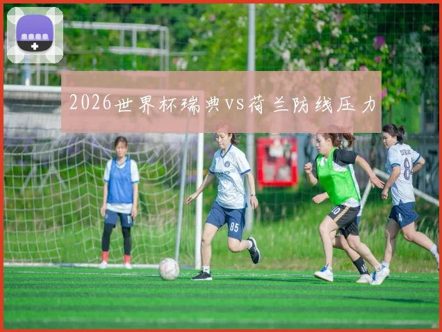 2026世界杯瑞典vs荷兰防线压力