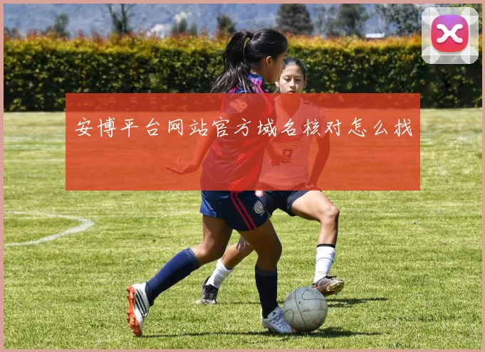 安博平台网站官方域名核对怎么找