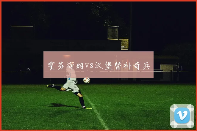 霍芬海姆vs汉堡替补奇兵